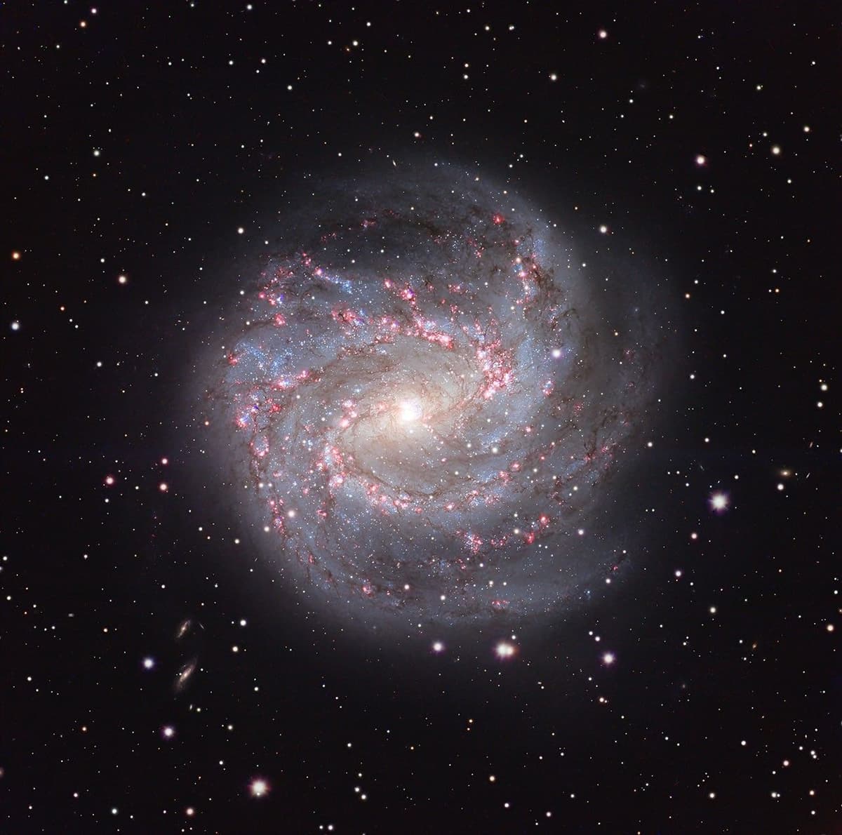 APOD: 2026 September 11 – M83: The Southern Pinwheel