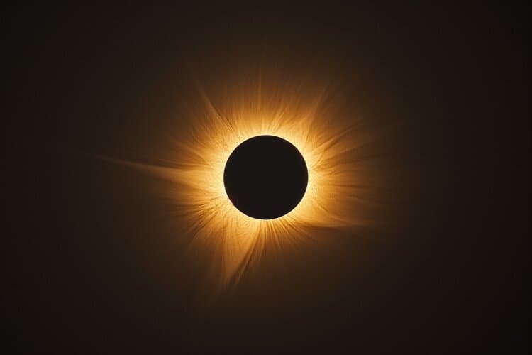 Week in images: 10-14 August 2026